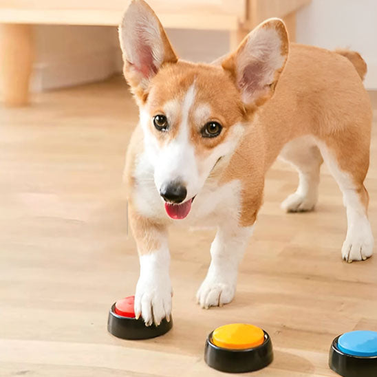 Lot de 4 Boutons Interactifs pour Chien – Jouets d'Entraînement et de Communication