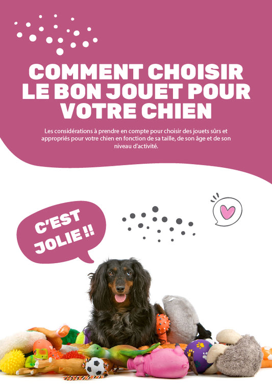 Comment choisir le bon jouet pour votre chien| Guide ultime e-book