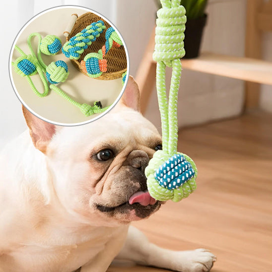 Corde en coton interactive pour Chien