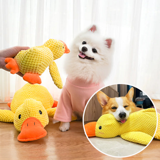 Jouet pour Chien canard a mâcher en peluche