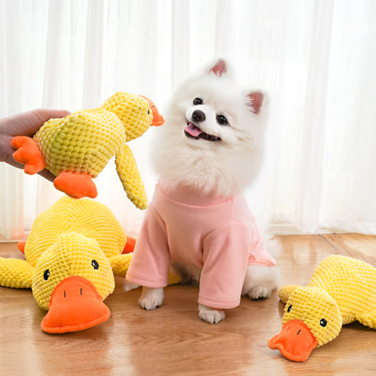 Jouet pour Chien canard a mâcher en peluche