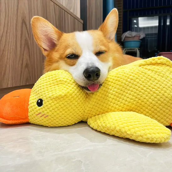 Jouet pour Chien canard a mâcher en peluche