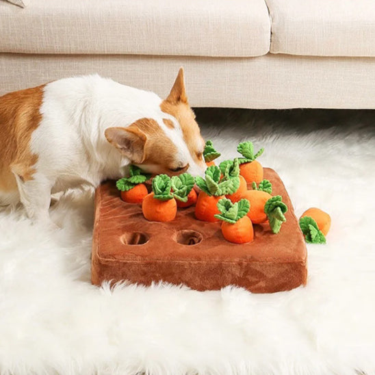 Jouet Interactif pour Chien à Mâcher - Adapté aux Chiens de Toutes Tailles