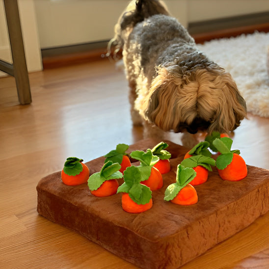 Jouet Interactif pour Chien à Mâcher - Adapté aux Chiens de Toutes Tailles