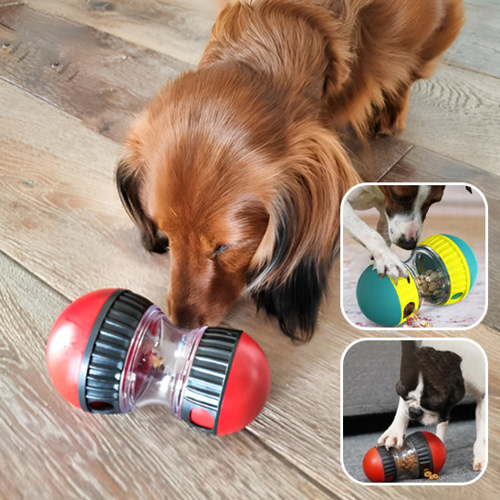 Jouet Distributeur de Croquettes pour Chien