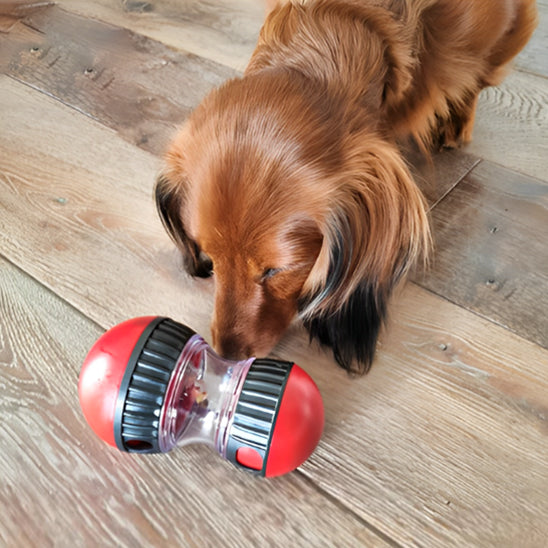 Jouet Distributeur de Croquettes pour Chien