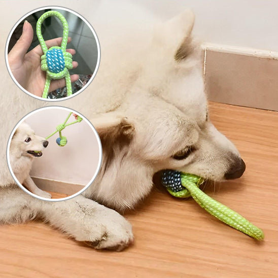 Corde en coton interactive pour Chien