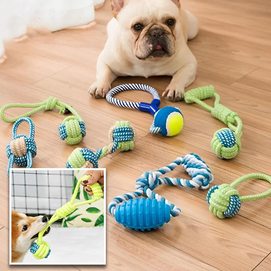 Corde en coton interactive pour Chien