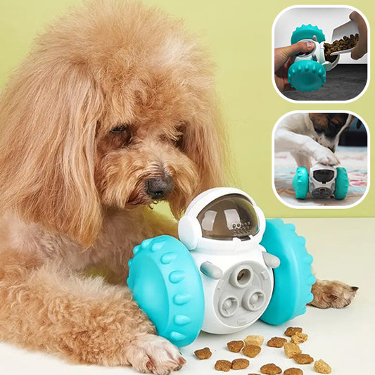 Distributeur interactif de nourriture pour Chien