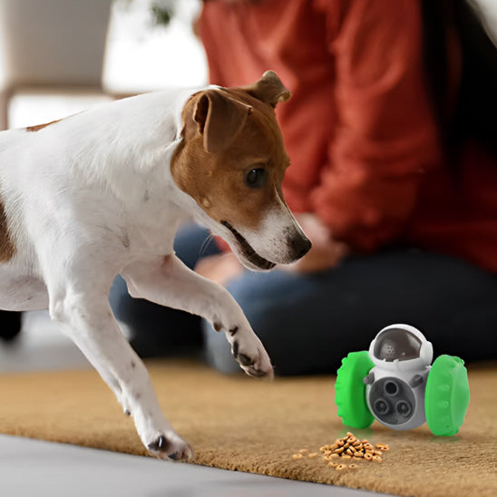 Distributeur interactif de nourriture pour Chien