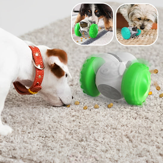 Distributeur interactif de nourriture pour Chien