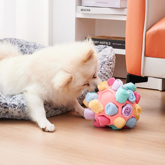 Jouets à nourriture pour Chien Puzzle à renifler