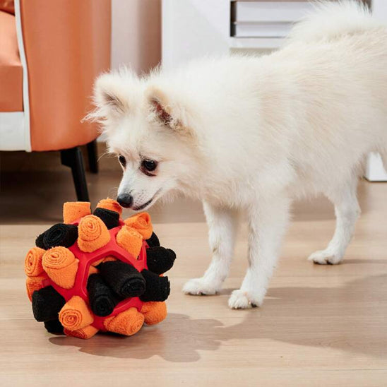 Jouets à nourriture pour Chien Puzzle à renifler