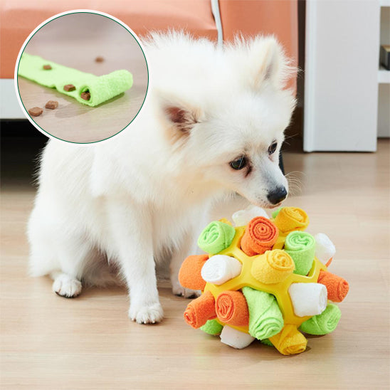 Jouets à nourriture pour Chien Puzzle à renifler