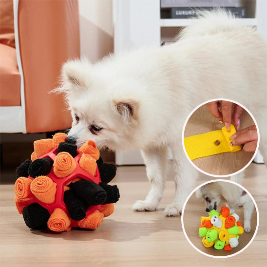 Jouets à nourriture pour Chien Puzzle à renifler