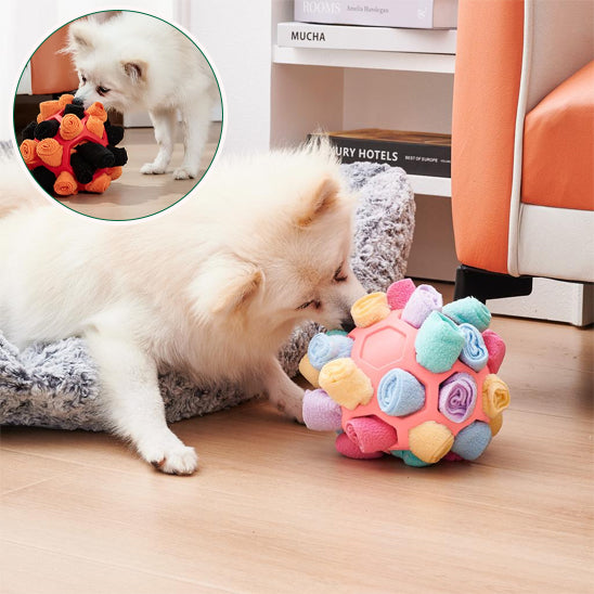 Jouets à nourriture pour Chien Puzzle à renifler