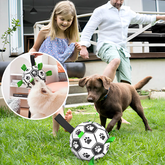 Jouet pour Chien Interactif de Football Aquatique