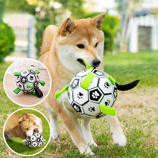 Jouet pour Chien Interactif de Football Aquatique