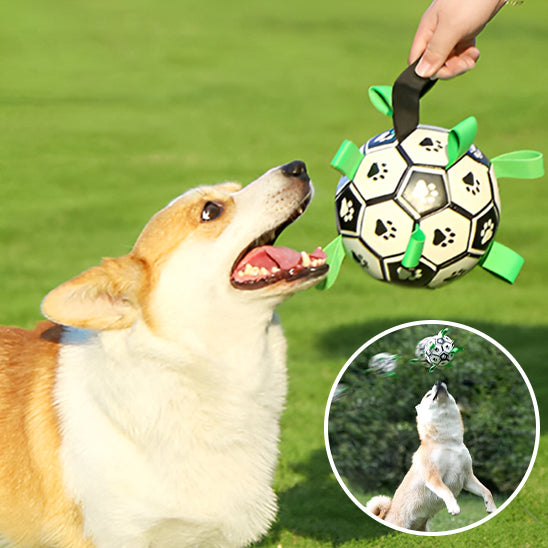 Jouet pour Chien Interactif de Football Aquatique