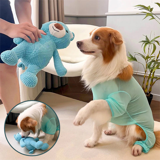 Jouet toutou pour Chien en peluche résistant