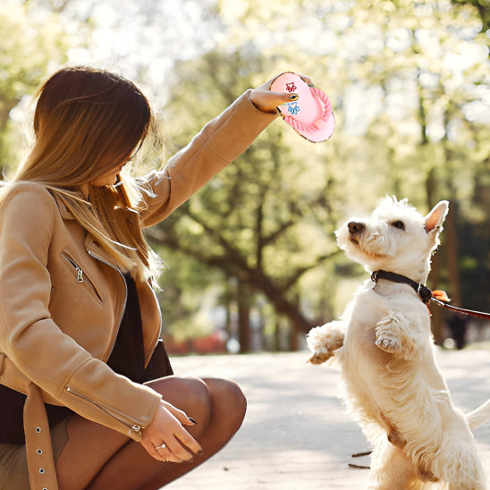 Jouet pour Chien Pantoufle en Peluche