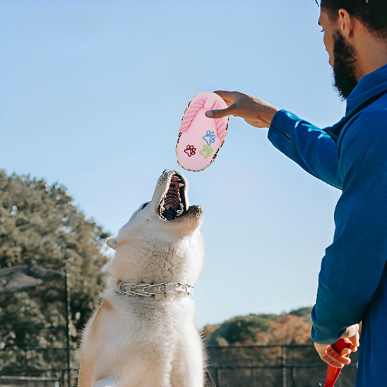 Jouet pour Chien Pantoufle en Peluche