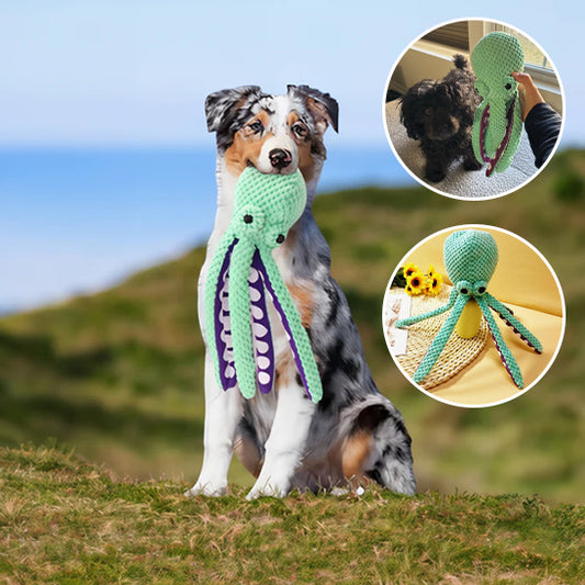 Jouet pour Chien en Peluche interactif