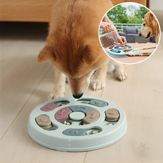 Jouet puzzle de nourriture pour Chien