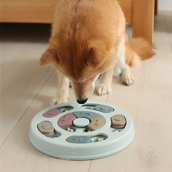 Jouet puzzle de nourriture pour Chien