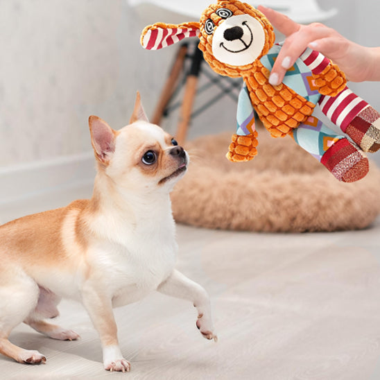 Jouets pour Chiens  grinçants en Peluche