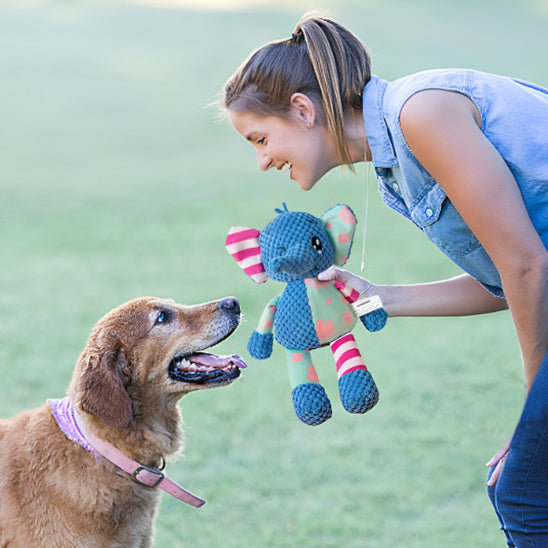 Jouets pour Chiens  grinçants en Peluche