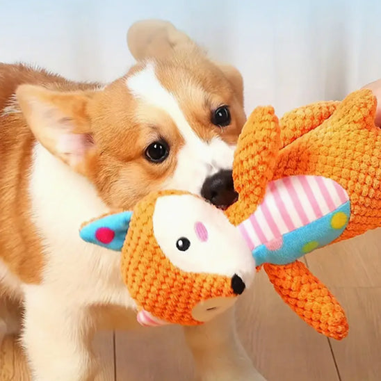 Jouets pour Chiens  grinçants en Peluche