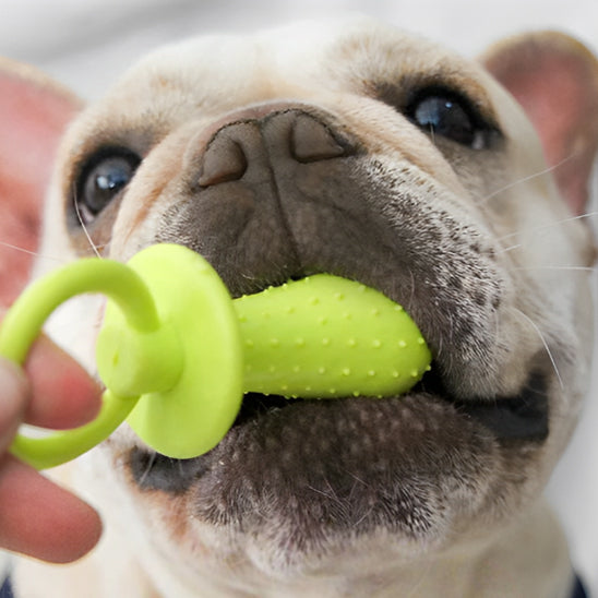 Jouet pour Chien et Chiot Interactif à Mâcher pour les Dents